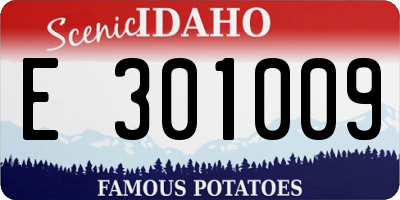 ID license plate E301009
