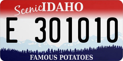 ID license plate E301010