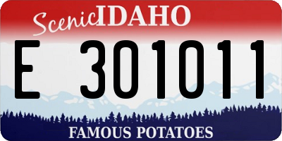 ID license plate E301011