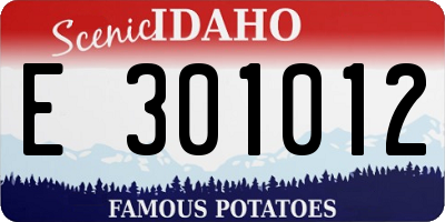 ID license plate E301012