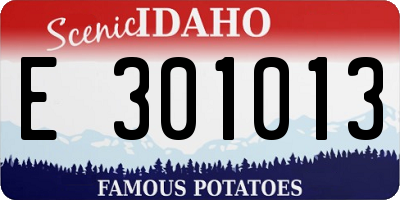 ID license plate E301013