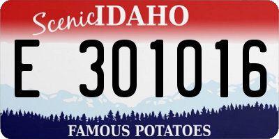 ID license plate E301016