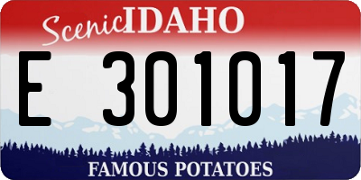 ID license plate E301017