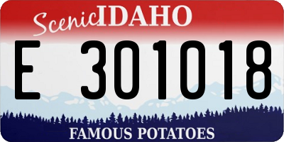 ID license plate E301018