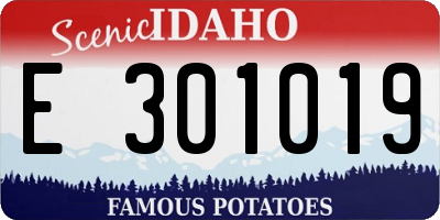 ID license plate E301019