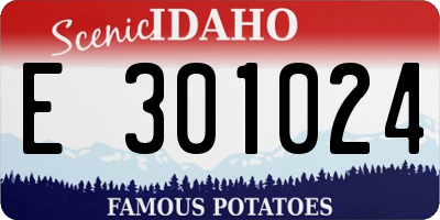 ID license plate E301024