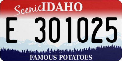 ID license plate E301025