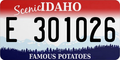 ID license plate E301026