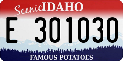 ID license plate E301030