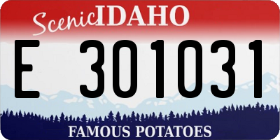 ID license plate E301031