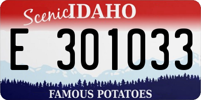 ID license plate E301033