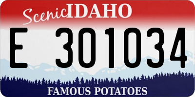 ID license plate E301034