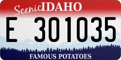 ID license plate E301035