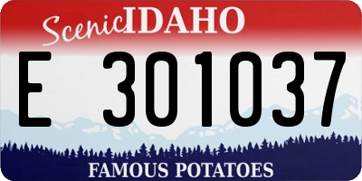 ID license plate E301037