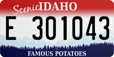 ID license plate E301043