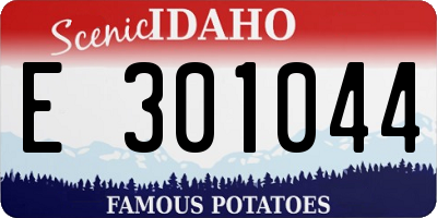 ID license plate E301044
