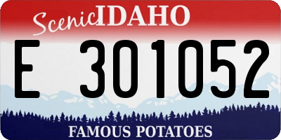 ID license plate E301052