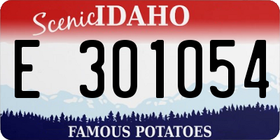 ID license plate E301054