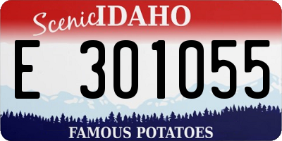 ID license plate E301055