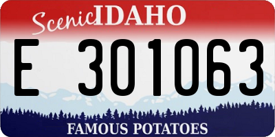 ID license plate E301063