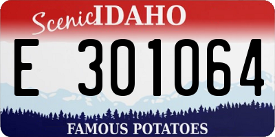 ID license plate E301064
