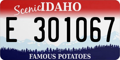 ID license plate E301067