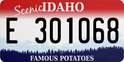 ID license plate E301068