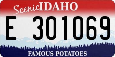 ID license plate E301069