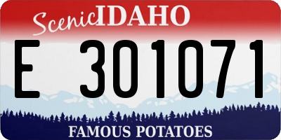 ID license plate E301071