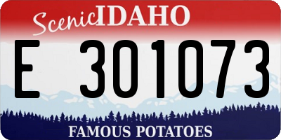 ID license plate E301073
