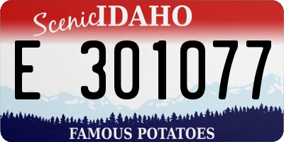 ID license plate E301077