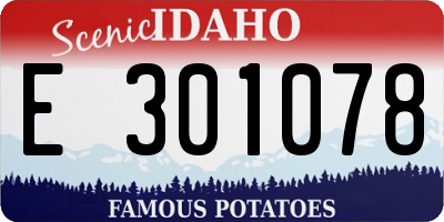 ID license plate E301078