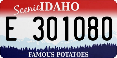ID license plate E301080
