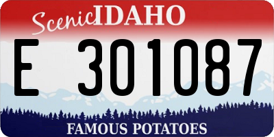 ID license plate E301087