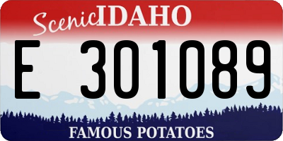 ID license plate E301089