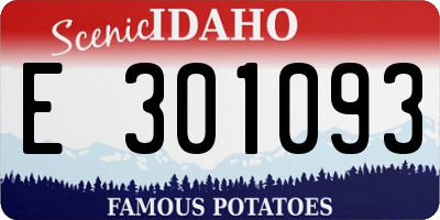 ID license plate E301093