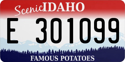 ID license plate E301099