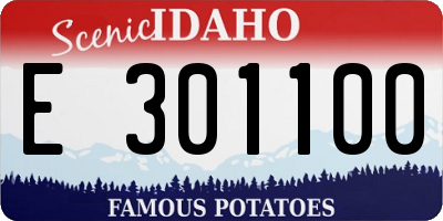 ID license plate E301100