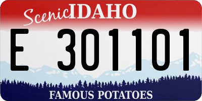 ID license plate E301101