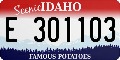 ID license plate E301103