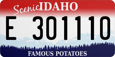 ID license plate E301110