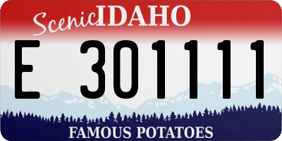 ID license plate E301111