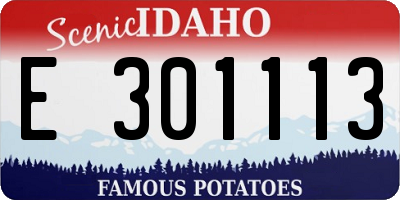 ID license plate E301113