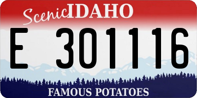 ID license plate E301116