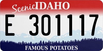 ID license plate E301117
