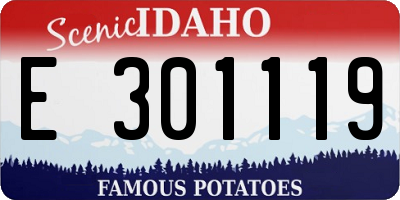 ID license plate E301119