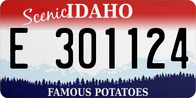 ID license plate E301124