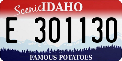 ID license plate E301130