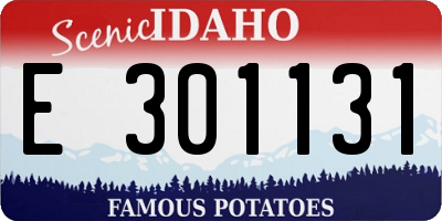ID license plate E301131