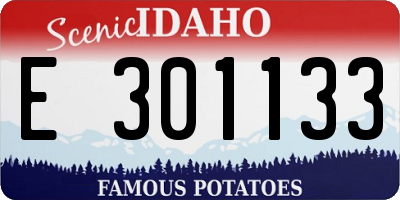ID license plate E301133
